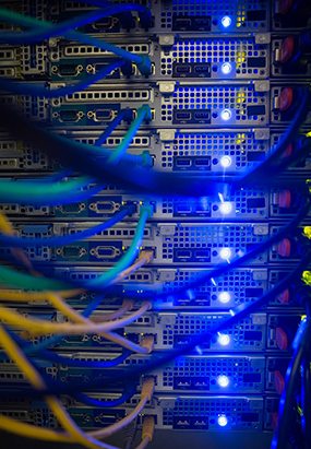 Profesyonel Hizmetlerimiz